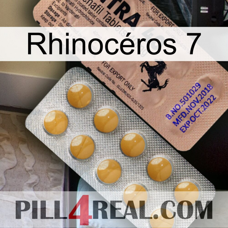 Rhinocéros 7 41